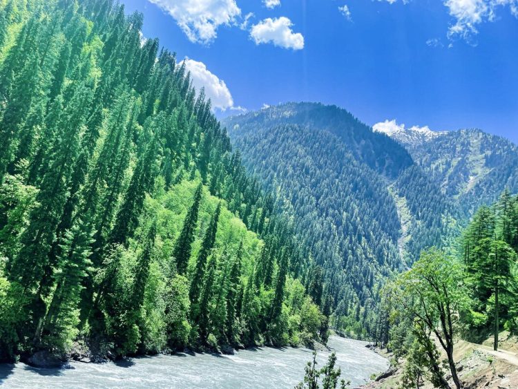 Beyond Gulmarg: Exploring Kashmir’s Lesser-Known Destinations